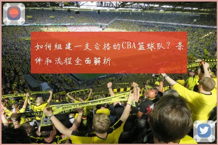 如何组建一支合格的CBA篮球队？条件和流程全面解析