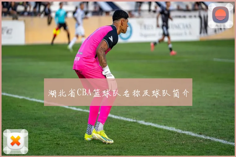 湖北省CBA篮球队名称及球队简介